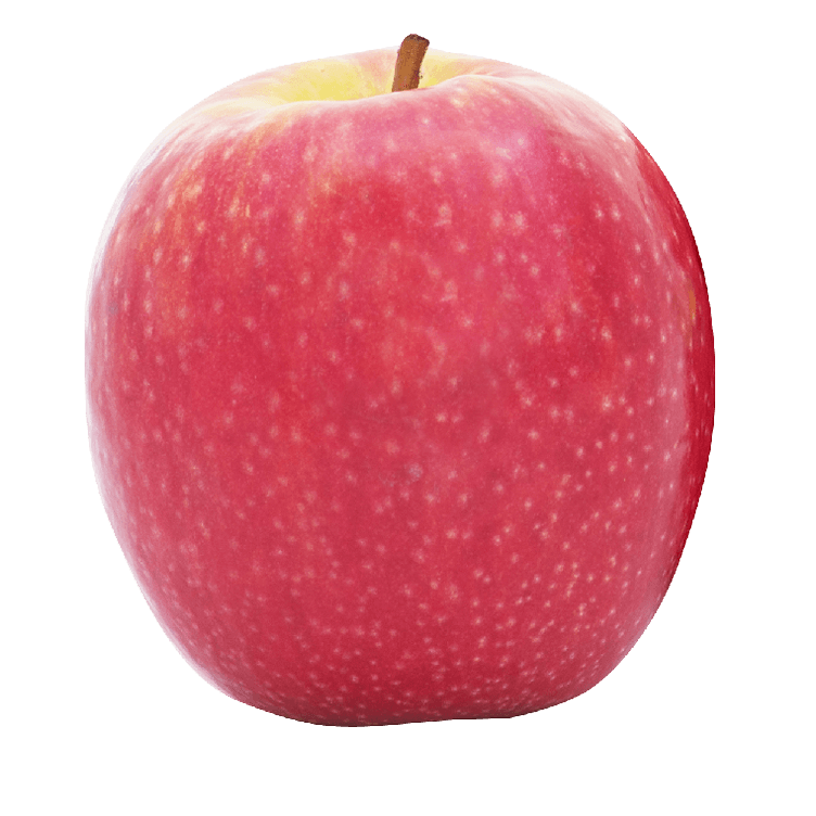 col-5-lg